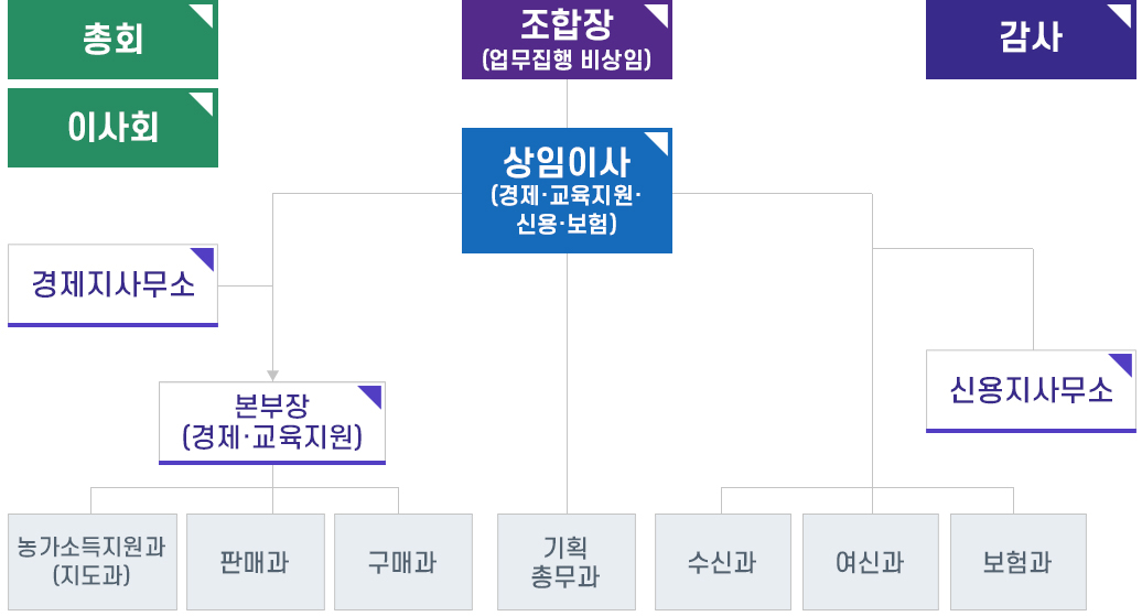 조직도
